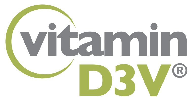 D3Vlogo