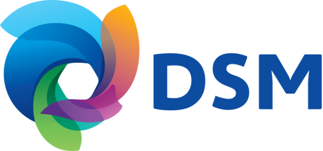 DSM_Logo