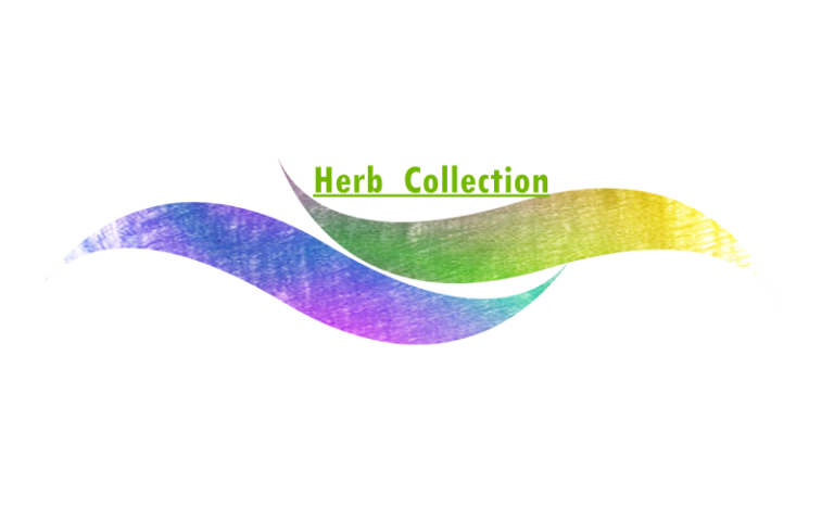 Herb Collection_Logo